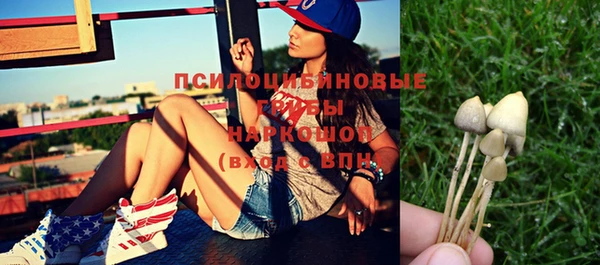 ГАЛЛЮЦИНОГЕННЫЕ ГРИБЫ Балахна